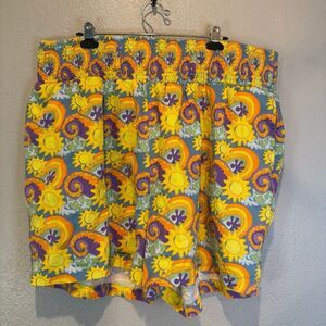 Lucy & Yak High waisted colorful shorts 2Xl
